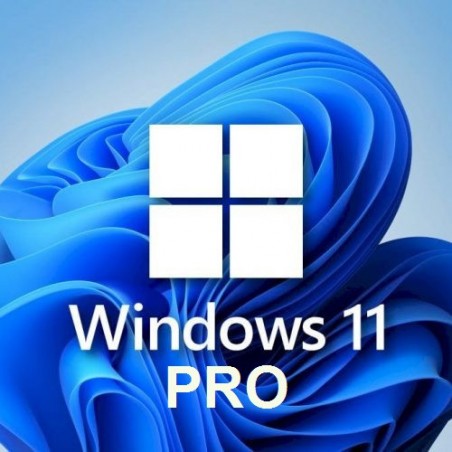 KEY ESD Windows 11 PRO 64 BIT